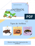 Anfíbios