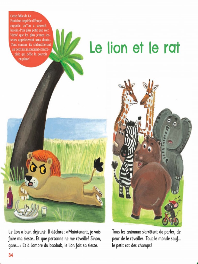 Le Lion Et Le Rat PDF