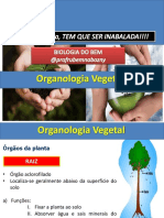 Organologia Vegetal - DYNÂMICO