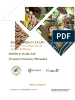 Diseño Del SAF Cacao