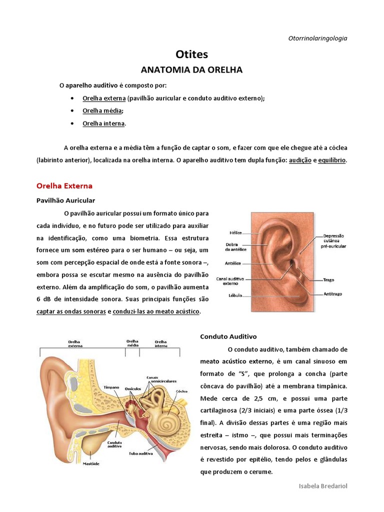 Anatomia Da Orelha e Otites | PDF | Orelha | Audição