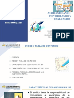 Trabajo 2 Auditoria Cartilla