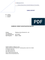 Company Credit Investigation Report