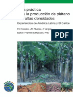 Guia Produccion de Platano Con Altas Densidades