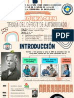 Guia N°02-Dorothea Orem-Enf. en Salud Del Adulto I (Practica)