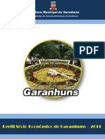 Perfil Socio Economico de Garanhuns 2011