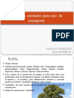 Plantas y Animales para Uso de Transporte - NATALIA - Y - ALDO.