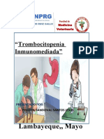 Trombocitopenia Inmunomediada Clinica Patologia Clinica Mañana
