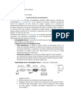 Resumen Metodos Cromatograficos