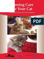 Nursing Care For Your Cat: Practical Tips For Pet Owners