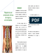 Anatomía palpatoria de raquis y extremidades