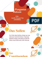 Das Sollen - Ius Constituendum