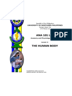 Lesson 1 - The Human Body - 1.2. - Anatomical Positions