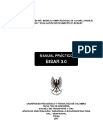 Manual Practico BISAR 3.0