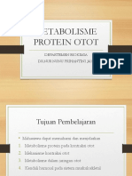 METABOLISME PROTEIN OTOT Blok 17