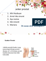 Kanker Prostat