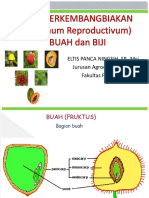 12.BUAH Dan BIJI