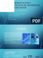 Representacion y Proteccion de Diferentes Tipos de Datos