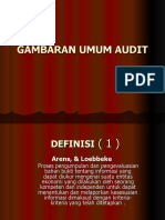 Gambaran Umum Audit