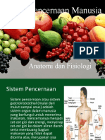 Anatomi Dan Fisiologi Sistem Pencernaan 1