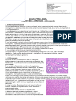 Anatomia Patologica II 3