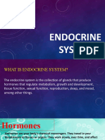 Endocrine System 13