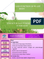 Materi 3. DAUN (FOLIUM ) DAN BUNGA (FLOS )