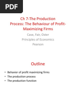 CH 7-The Production Process: The Behaviour of Profit-Maximizing Firms