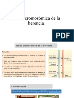 Tema 8. Teoría Cromosómica de La Herencia