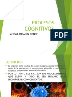 Procesos cognitivos: percepción, atención, memoria y pensamiento