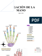 Irrigacion de Mano