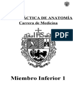 Guia de Ejercicios N 4 - Mmii 1 Medicina