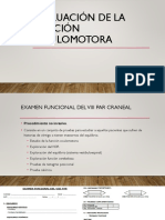 14 - Evaluación de La Función Oculomotora