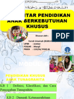 PENDIDIKAN KHUSUS