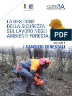 Sicurezza in Bosco New