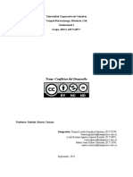 Conflictos Del Dessarrollo, Institucional 1