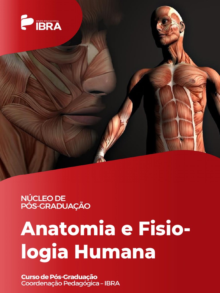 Anatomia e Fisiologia Humana Diagramada | PDF | Coluna vertebral | Epitélio