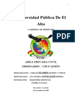 Area Privada Civil Ordinario - Usucapion