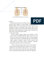 Definisi Anatomi Dan Fisiologi Sistem Endokrin