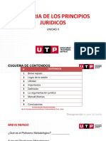 La Teoria de Los Principios Ruiz Manero