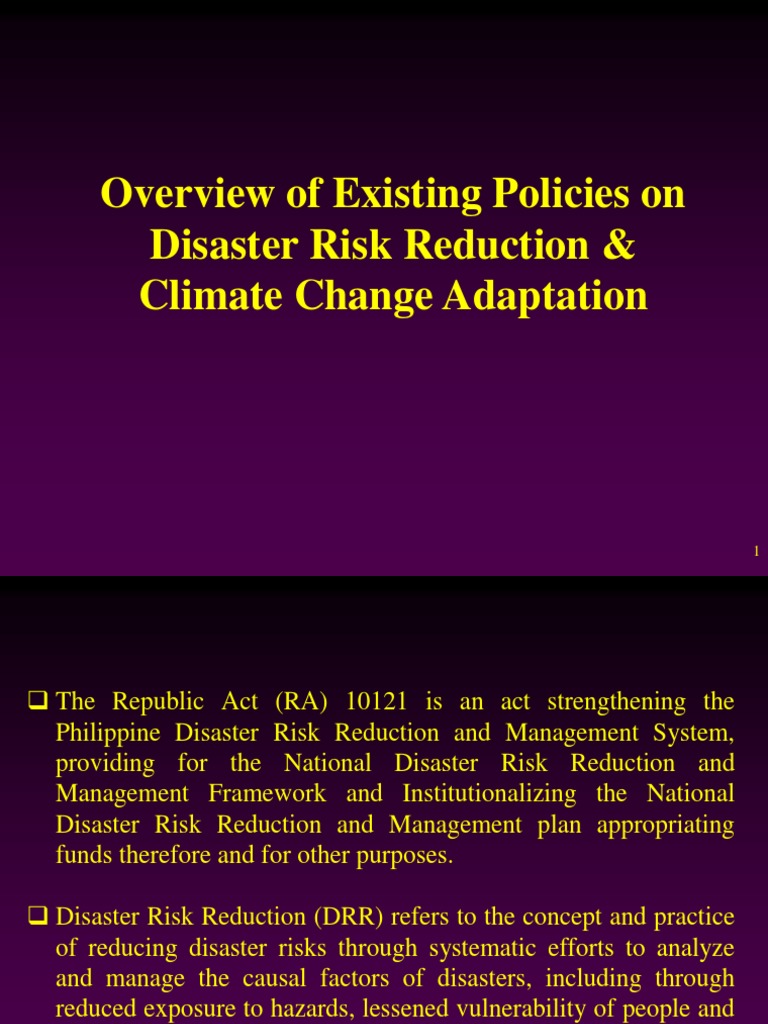 6 Overview of Existing Policies On Disaster Risk Reduction | PDF ...