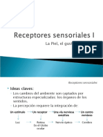 Receptores Sensoriales I