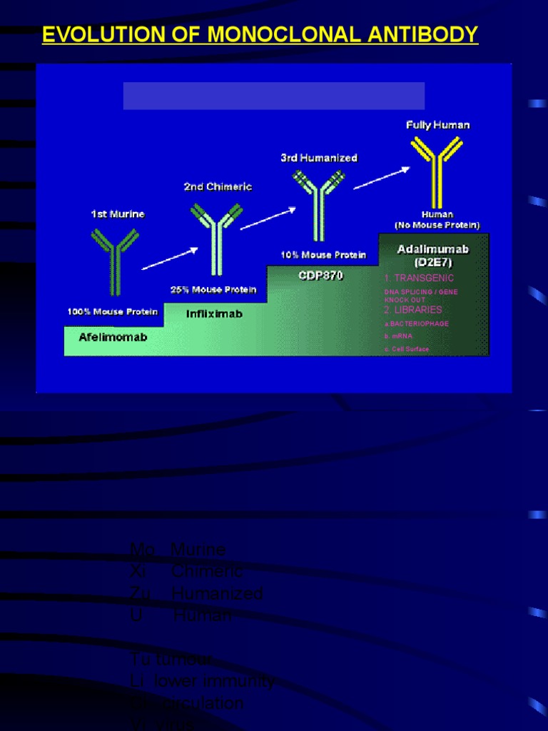 Evolution of Monoclonal Antibody: 1. Transgenic | PDF