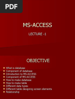 Access 1