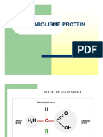 Metabolisme Protein Asam Amino