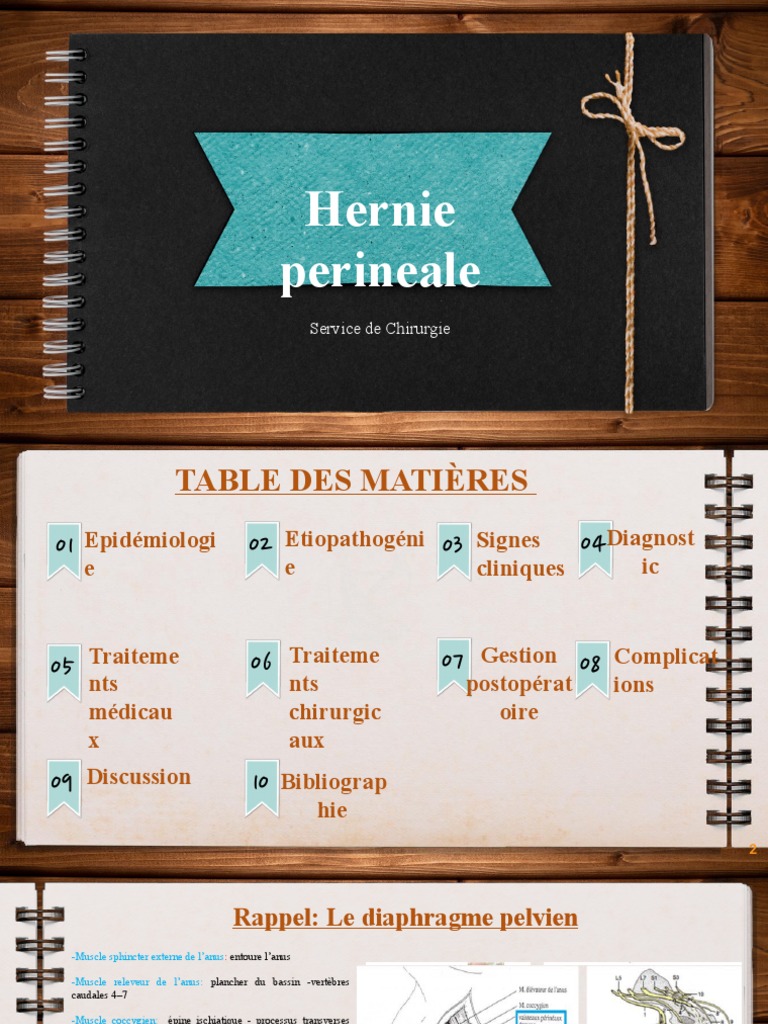 Hernie Perineale Recap PDF Rectum Incontinence urinaire