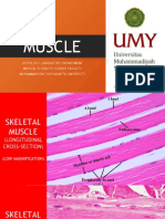 ppt Textus Muscularis