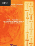 2008 PEAB Projeto Estudos Afro Brasileiros. Organizadora