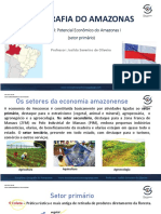 Potencial econômico do setor primário no Amazonas