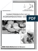Caracterizacion Agroindustria Carnica
